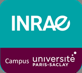 Logo de 
