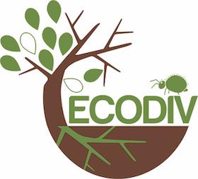 Logo de 