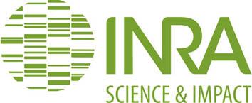Logo de