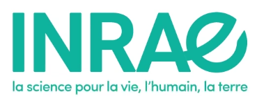 Logo de