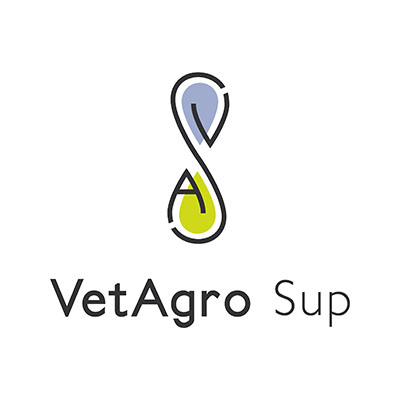 Logo de