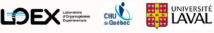 Logo de