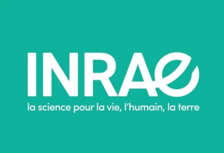 Logo de