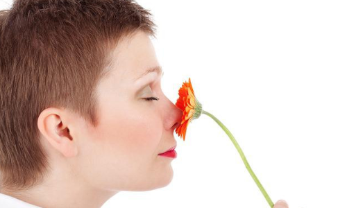 Webinaire_PDSI_OLFACTION_ABG