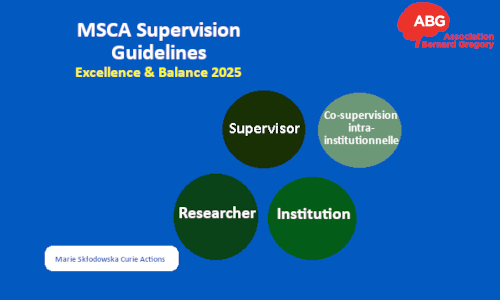 MSCA supervision guide analysis 2025