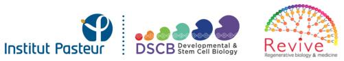 Logo de 