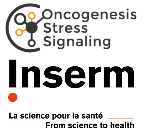 Logo de 