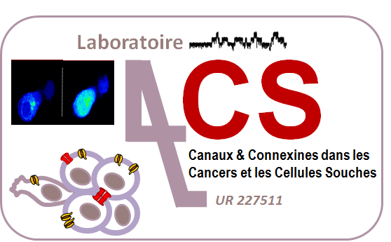 Logo de 