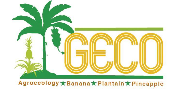 Logo de 