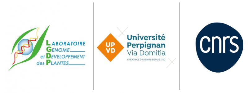 Logo de