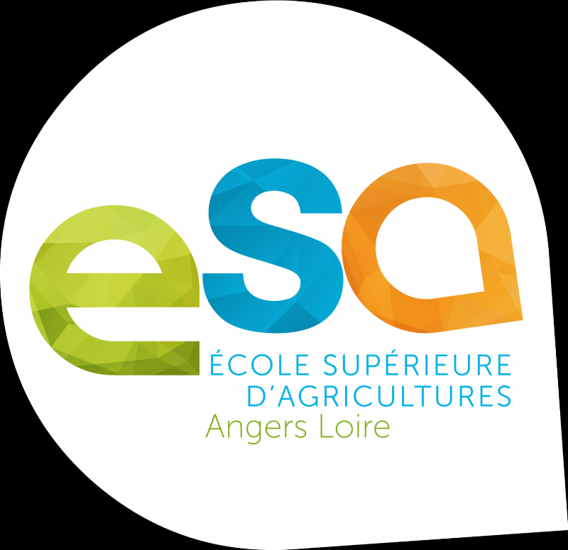 Logo de
