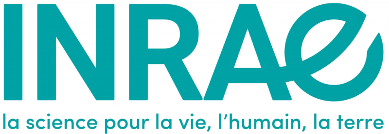 Logo de 
