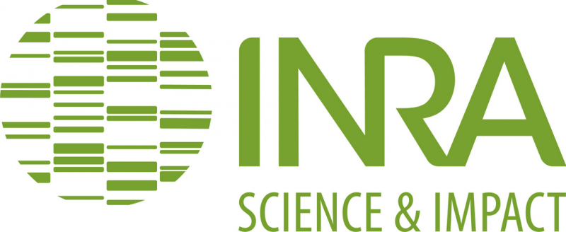 Logo de