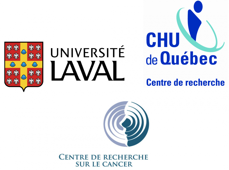 Logo de Université Laval