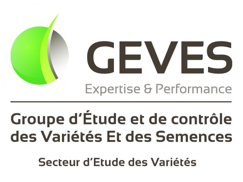 Logo de